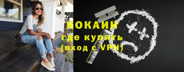 ПСИЛОЦИБИНОВЫЕ ГРИБЫ Осташков